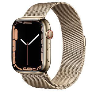 Apple Watch 44mm Gold MiIanese Loop band